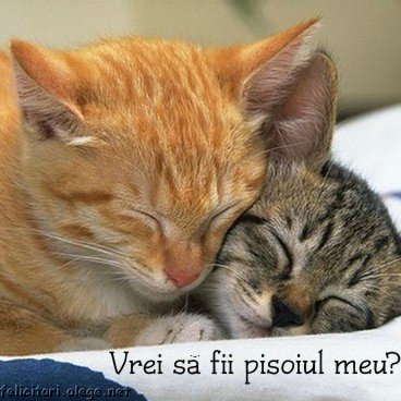 Valentine Day